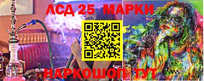 гидропоника Сланцы