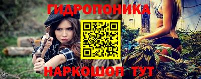 гидропоника Сланцы