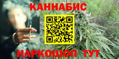 гидропоника Сланцы